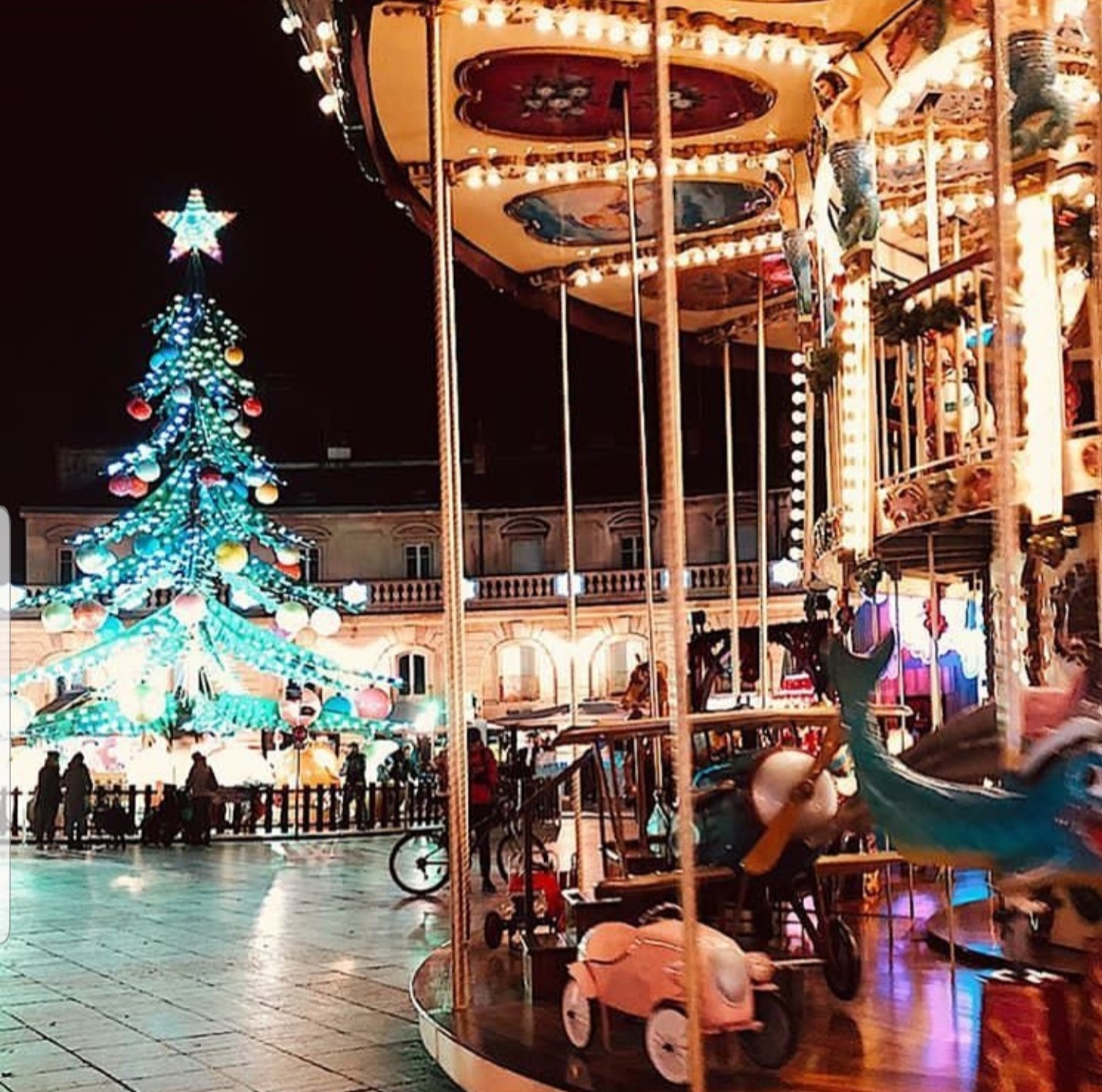 magicoalbero05